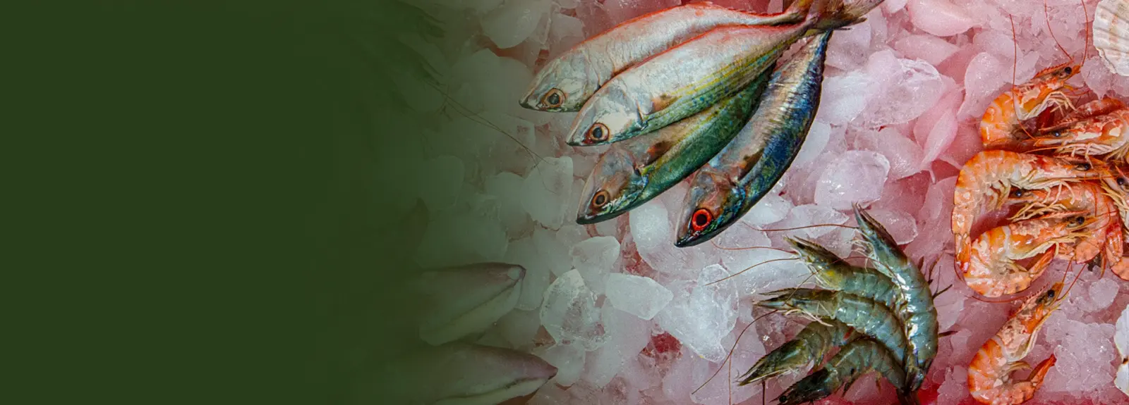 Seafood & Freshwater